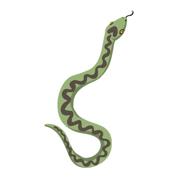 vector drawing European adder snake, viper, isolated at white background, hand drawn illustration
