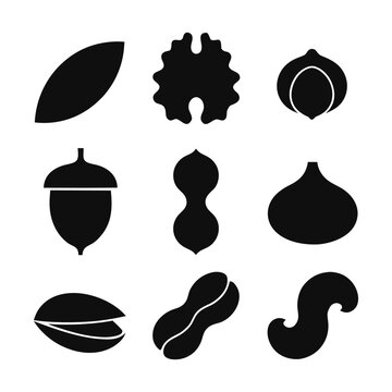  Collection of nuts and seeds silhouettes