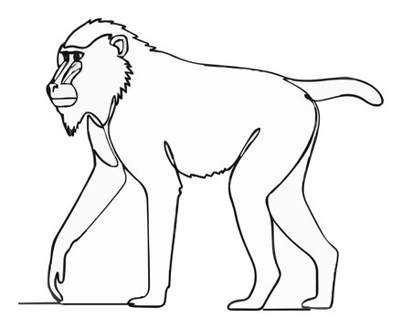 Mandrill baboon minimalist line art vector icon. Generative AI