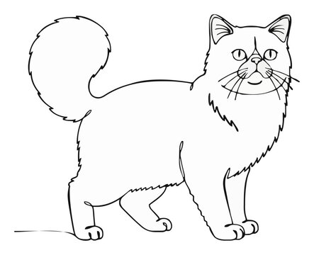 Persian cat feline pet perspective line art. Generative AI