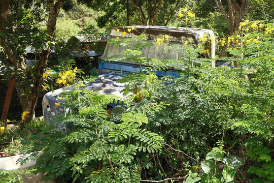 Carro viejo
