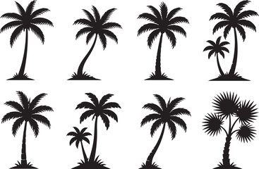 Fototapeta premium Set of black palm tree silhouettes for tropical beach and summer vacation designs