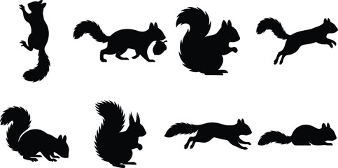 Obraz premium Squirrel Silhouette Collection Set with Running Jumping and Sitting Poses