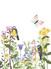 composition with flowers, butterfly and birds, vector drawing flowering wild plants and blue tits , wildlife natural background, hand drawn botanical illustration © cat_arch_angel