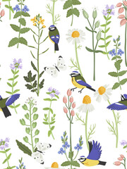 seamless pattern with field flowers and birds, vector drawing wild plants and blue tits at white background, , hand drawn botanical illustration © cat_arch_angel