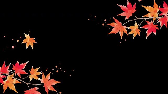 Looping Watercolor Autumn Maple Leaves Falling Animation Background