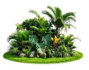 Fototapeta premium A vibrant cluster of tropical plants and palm trees on a grassy mound