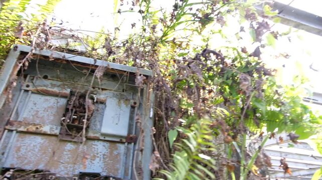 Derelict fuse box and abandoned swimming pool changing rooms overgrown by jungle in Panguna mine town on Bougainville, Papua New Guinea