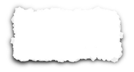Naklejka premium Grunge paint brush stroke border mask with blank copy space