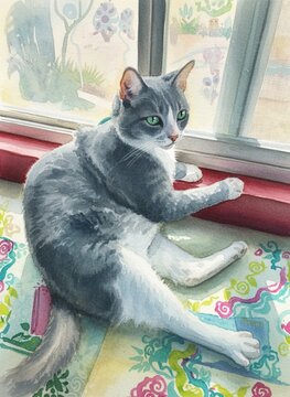 Cat sitting by the window