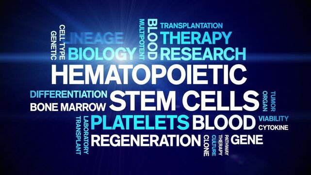 Hematopoietic Stem Cells animated word cloud-text design animation tag kinetic typography seamless loop.