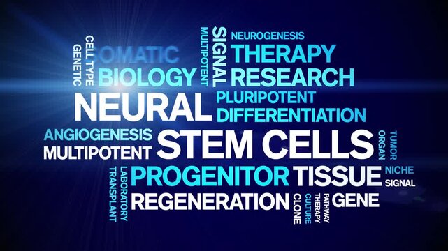 Neural Stem Cells animated word cloud-text design animation tag kinetic typography seamless loop.
