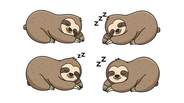 Four cute cartoon sloths sleeping peacefully in different positions, isolated on white background.