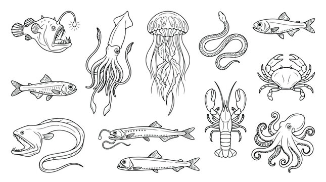Deep sea creatures line art collection, set of 12 marine life vector icons, black and white ocean animals for coloring book and educational design