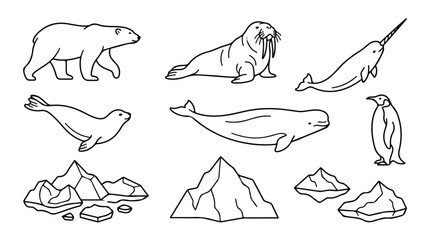 Arctic animals line art collection, 10 vector icons of polar wildlife and icebergs, minimalist black and white northern fauna illustrations © Sidra