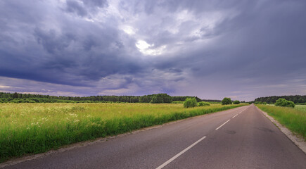 Fototapeta premium Asphalt road stretches through green field under stormy sky