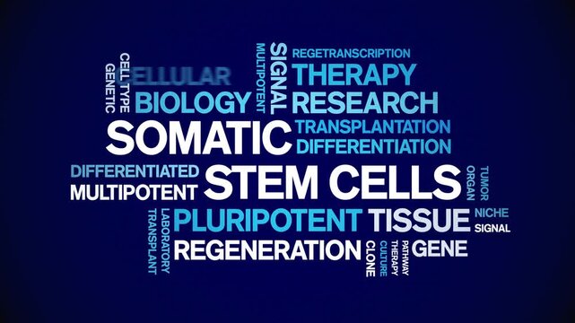 Somatic Stem Cells animated word cloud-text design animation tag kinetic typography seamless loop.