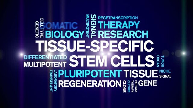 tissue-specific stem cells animated word cloud-text design animation tag kinetic typography seamless loop.
