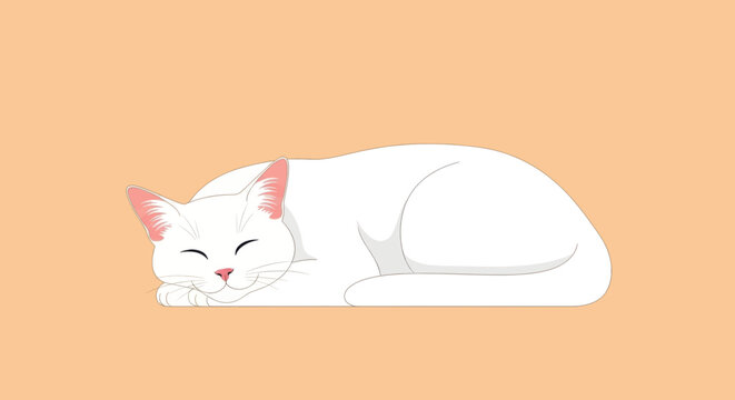 Cute white cat sleeping peacefully