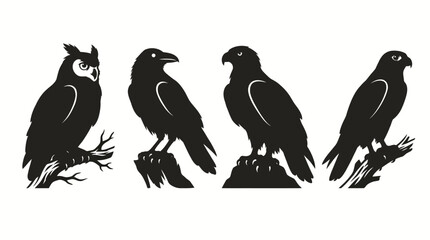 Obraz premium Minimalist black bird silhouettes collection of owl raven and hawk