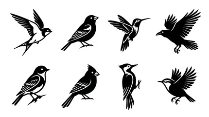 Collection of Stylized Black and White Silhouette Bird Vector Illustrations © matahari