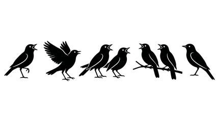 Obraz premium Vector Black Silhouette Collection of Singing and Chirping Birds