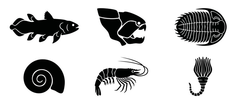 Prehistoric marine life fossil silhouettes featuring extinct ocean creatures like trilobite, ammonite, coelacanth, and dunkleosteus. Minimalist black vector icons isolated on a clean white background.