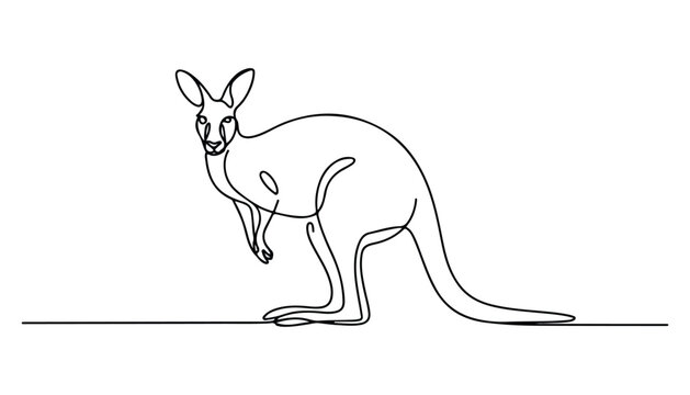 One continuous line illustration of an kangaroo animal , isolated on white background.
