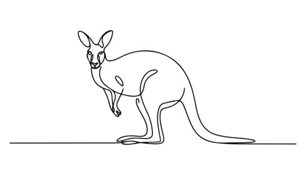 One continuous line illustration of an kangaroo animal , isolated on white background.