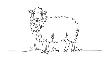 One continuous line illustration of an Sheep animal , isolated on white background. © line