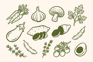 Fototapeta premium Variety of fresh vegetables and herbs illustration Vector, illustration