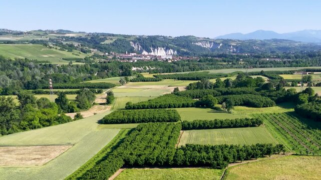Aerial View of Lush Agricultural Fields and Vineyards in Piedmont Italy