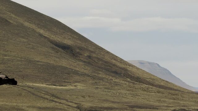 Andean condor (Vultur gryphus) soars above Patagonian steppe in Santa Cruz, Argentina, using hillside updrafts while searching for food across open terrain, drone tracking shot.