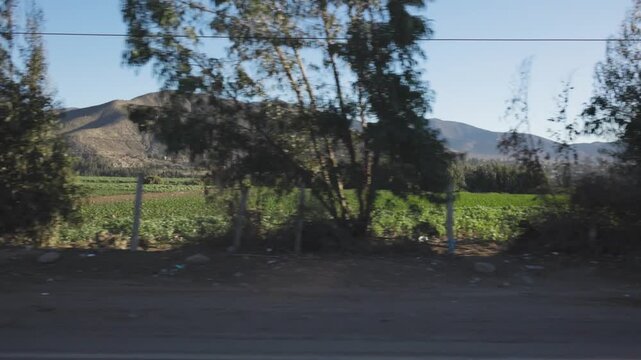 Coquimbo la serena desert road trip car driving northern chile landscape
