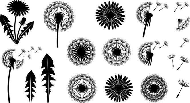 Dandelion Silhouette Vector Icon Set Featuring Blowing Seeds Fluffy Flower Heads and Leaves for Botanical Summer and Spring Nature Graphic Designs