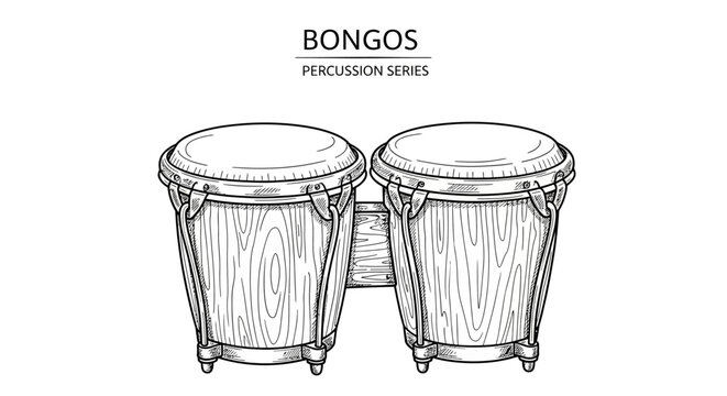 Hand Drawn Bongo Drums Percussion Series Musical Instrument Illustration.