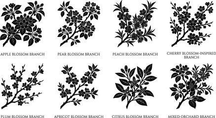 Fruit Tree Blossom Branch Silhouette Collection with Apple Pear Peach Plum Apricot and Citrus Flowers © MDSHAHIDUL