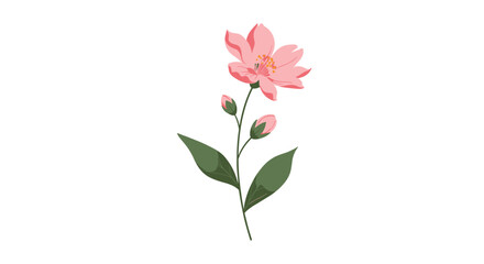 Fototapeta premium Close-up illustration of a beautiful blooming pink flower on a green leafy stem isolated on a plain white background.