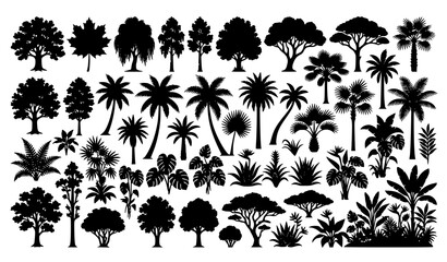 Broadleaf and Palm Tree Silhouettes Collection with Tropical Botanical Foliage Vector Set © Joba