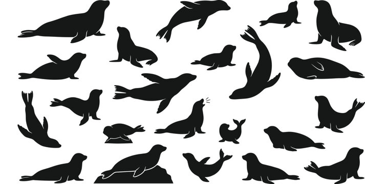Seal and Sea Lion Black Silhouette Icon Set Vector Illustration Featuring Marine Mammals in Various Poses for Aquatic Wildlife and Ocean Conservation Designs