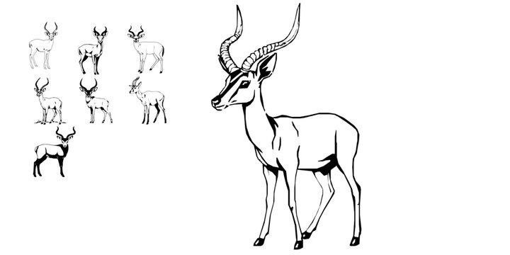 Duiker Small Antelope Outline Short Horns SVG Vector Illustration, Minimal Outline Icon, Black Line Art Clipart for Web, Print, UI Design and Commercial Projects