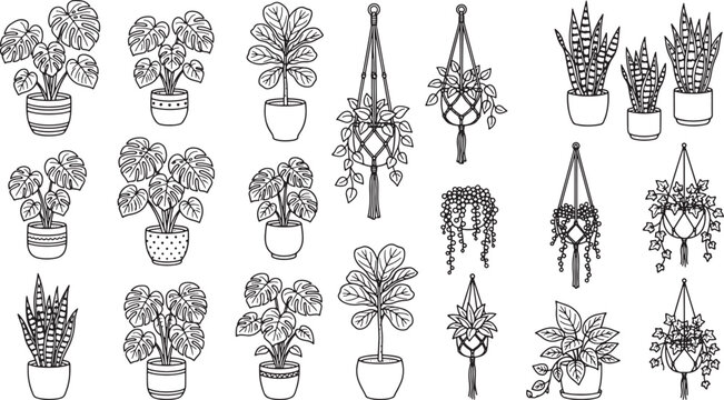 Set of hand drawn indoor house plants in pots and hanging macrame planters as vector line art