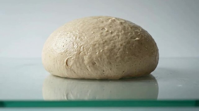 Dough Ball Resting on Glass Surface for Baking or Cooking
