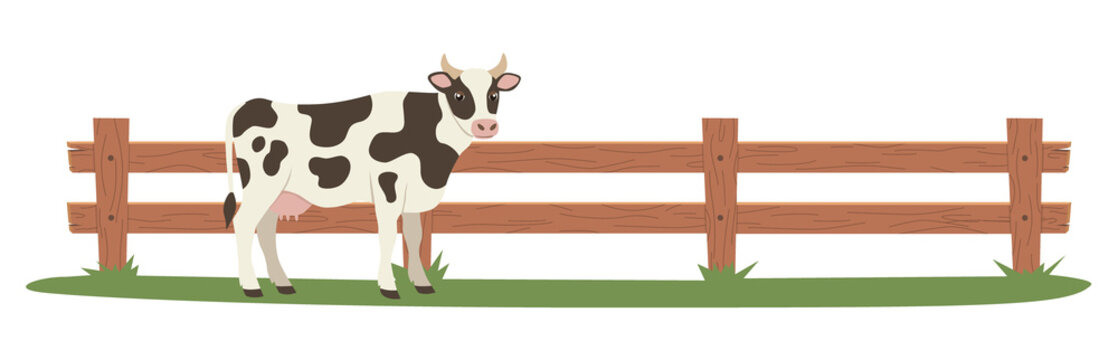 Flat color full-length cow standing near a wooden farm fence, side view. Illustration on a transparent background
