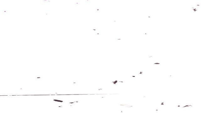 Dramatic 16 mm Film Dirt and Scratch flash Burn grunge transitions for storytelling video