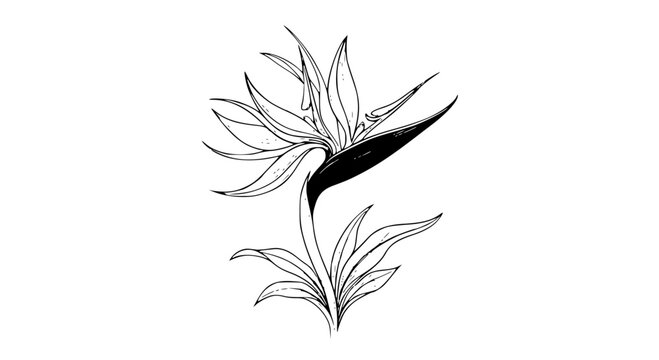 Elegant stylized bird with feathered wings and leaves illustration