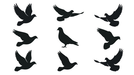 Obraz premium Black Pigeon and Dove Silhouettes in Flight and Standing Poses