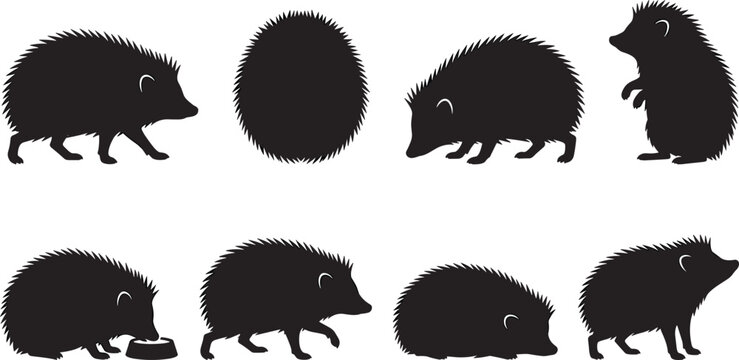 Hedgehog silhouette vector set showing walking, curled, standing, eating, and resting poses