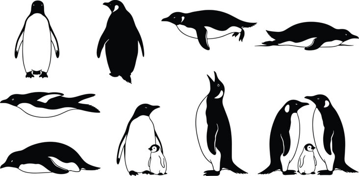 Penguin silhouette vector set showing standing, swimming, sliding, and family poses