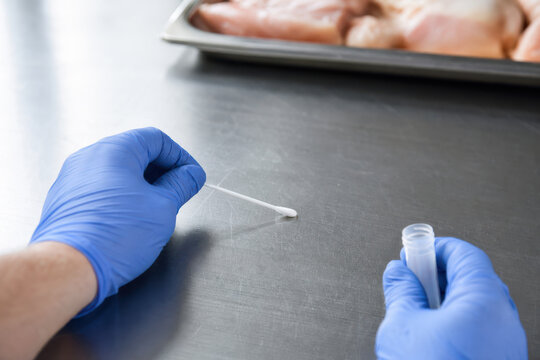 Food Safety Surface Swab Testing for Microbiological Inspection in Commercial Kitchen